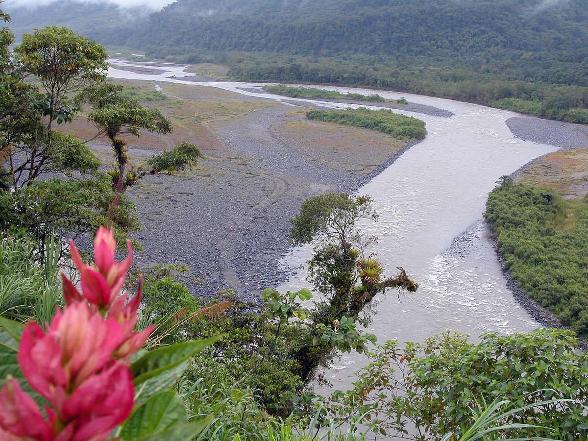 Río Pastaza rodeado de selva amazónica con flores en primer plano